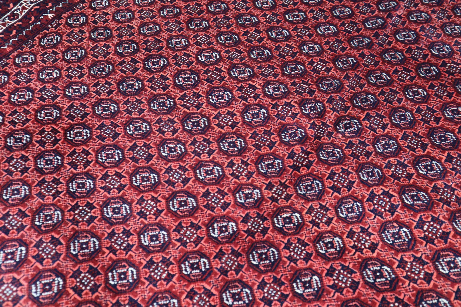 Burghan 8'1" × 11'6"