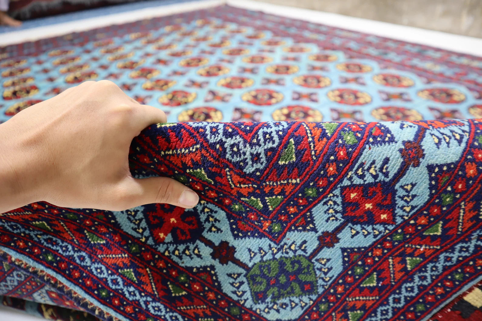 Zarvasha 8'5" × 11'10"