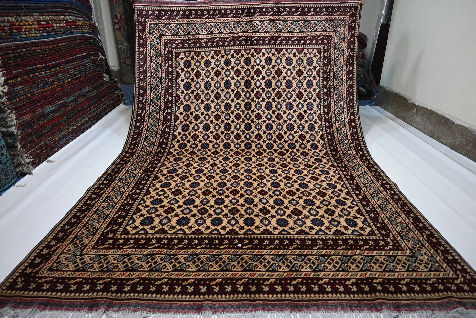 Bezhara 6'5" × 9'9"