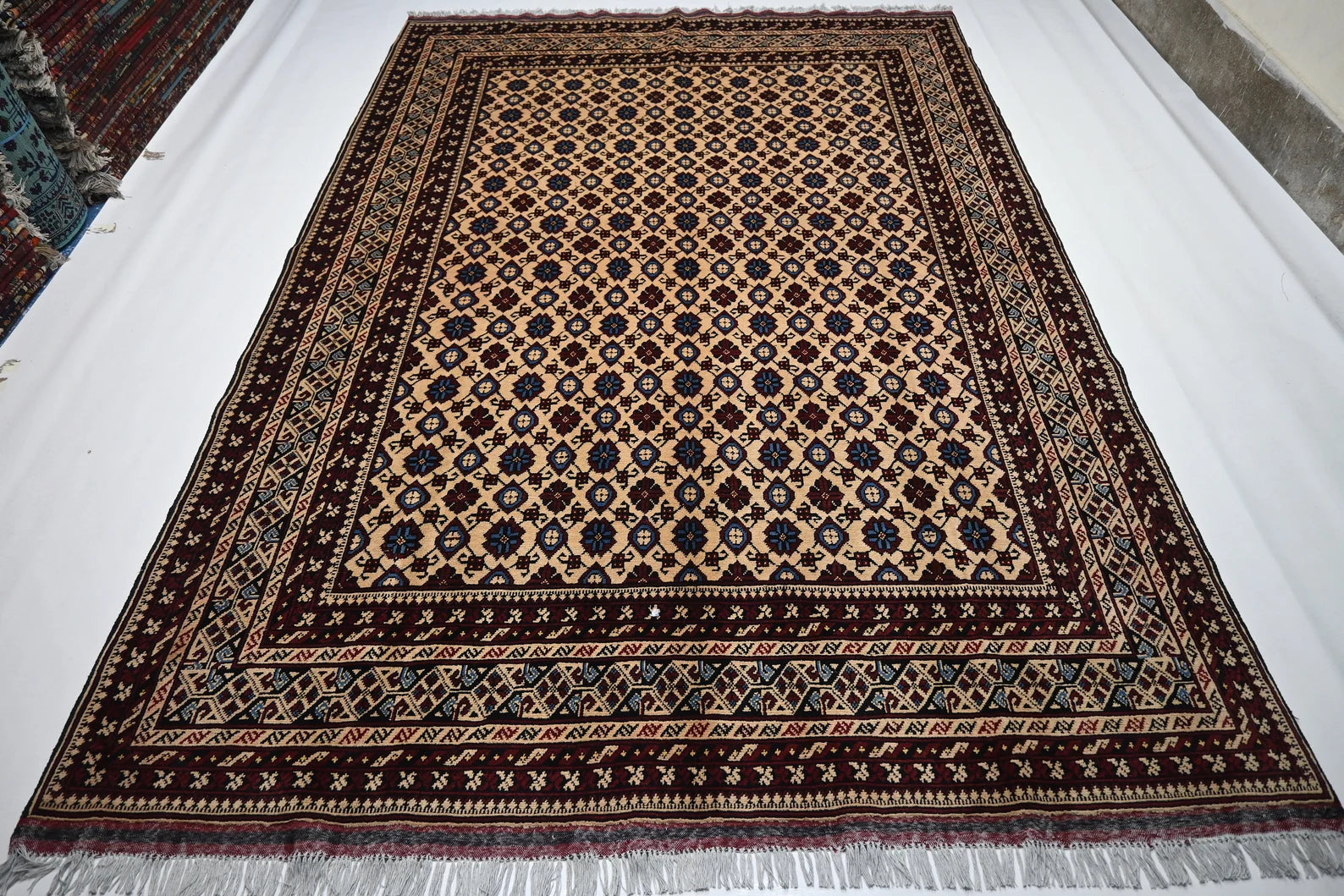 Bezhara 6'5" × 9'9"