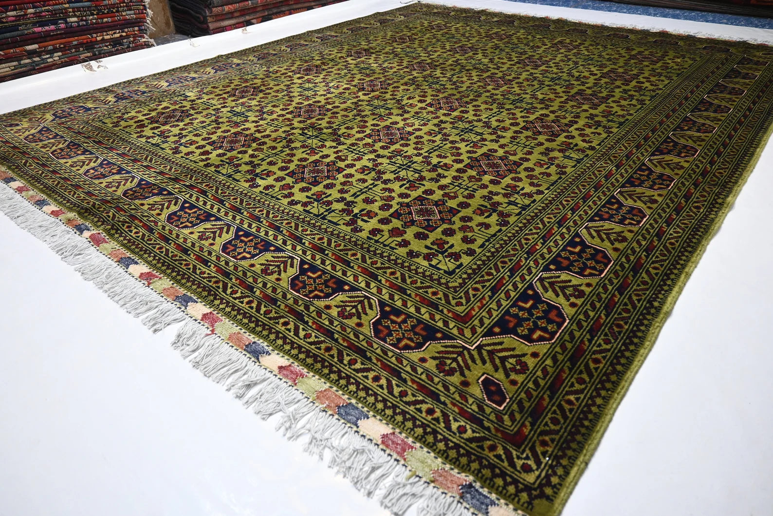 Zamora 8’1” × 12’2”