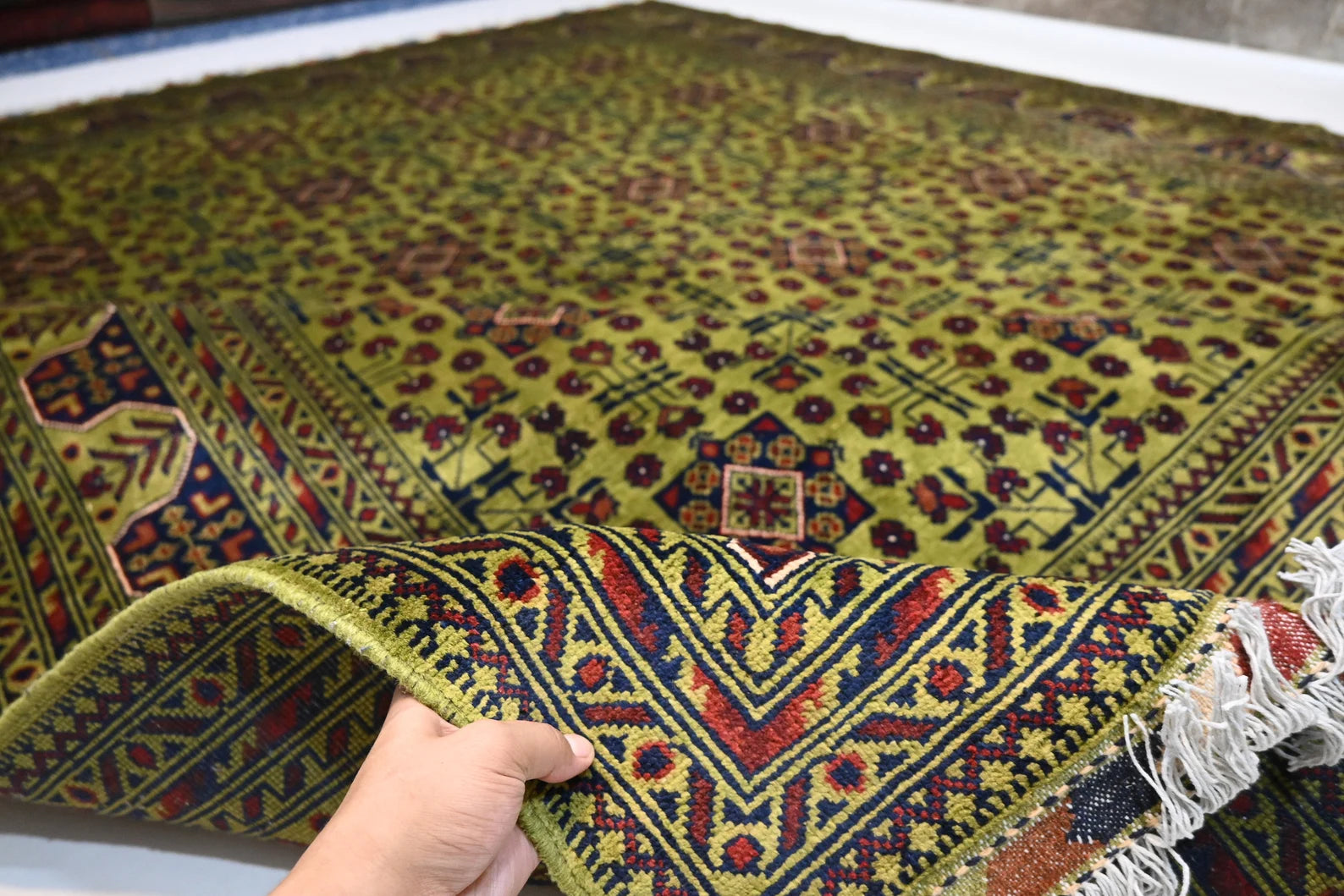 Zamora 8’1” × 12’2”