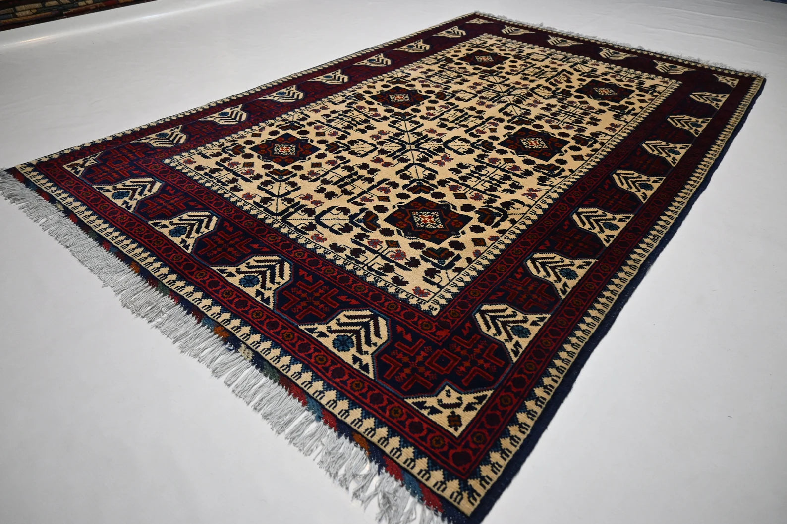 Nafroza 4'0" × 6'4"