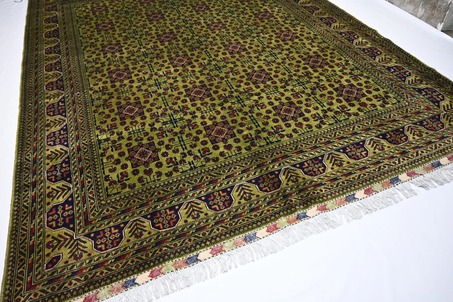 Zamora 8’1” × 12’2”