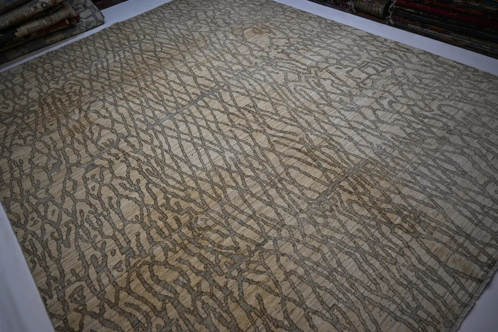 Linovar 9'0" × 11'5"