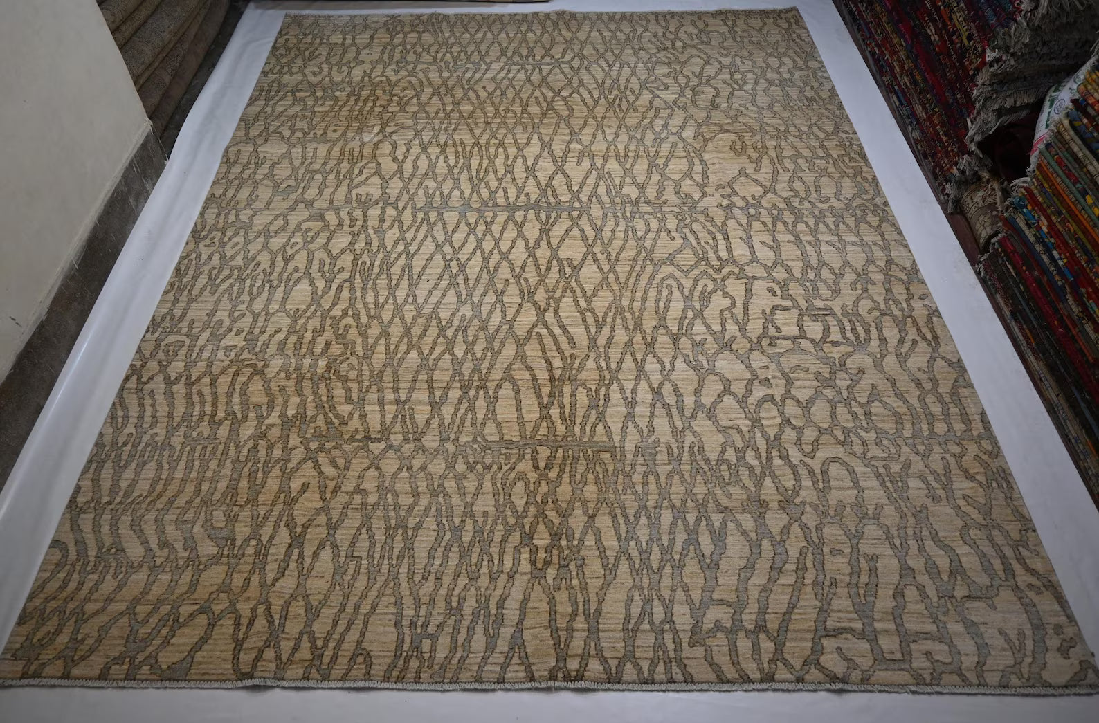 Linovar 9'0" × 11'5"