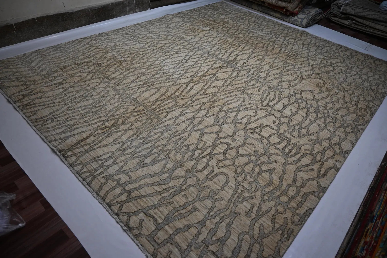 Linovar 9'0" × 11'5"