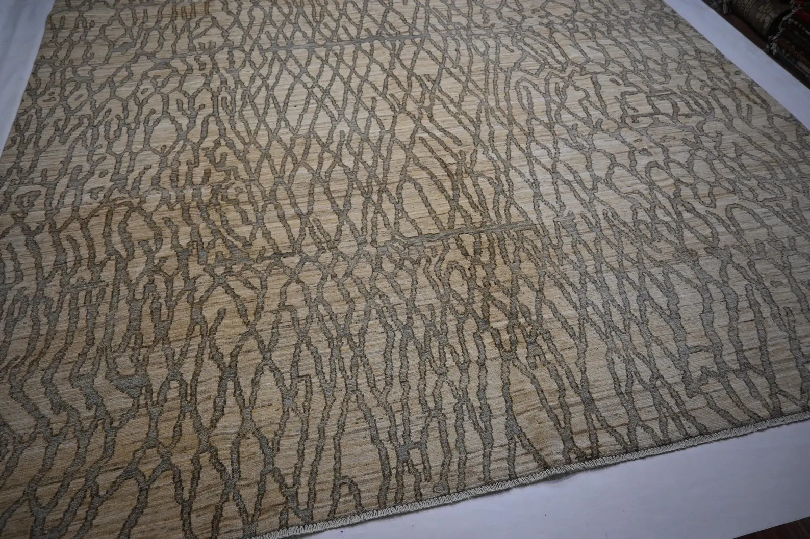 Linovar 9'0" × 11'5"