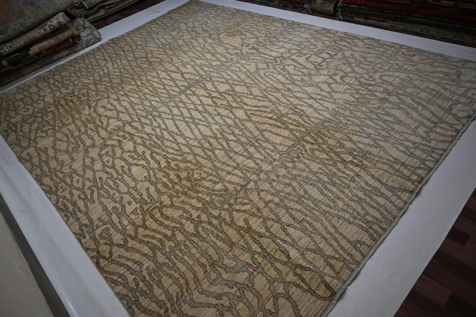 Linovar 9'0" × 11'5"