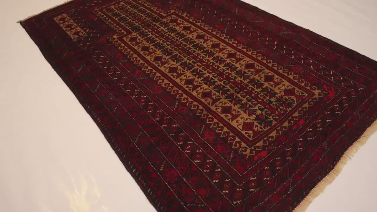 Zavran 3'0" × 5'0"