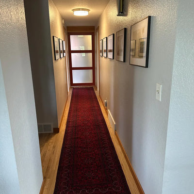 Lyla Shujaei review image 1