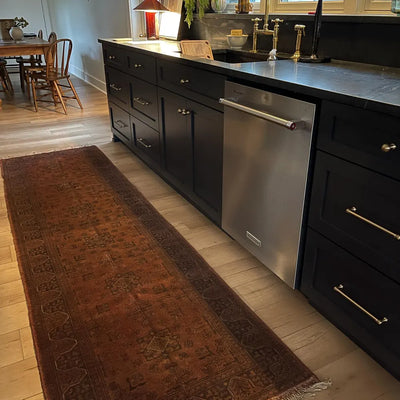 Lyla Shujaei review image 3