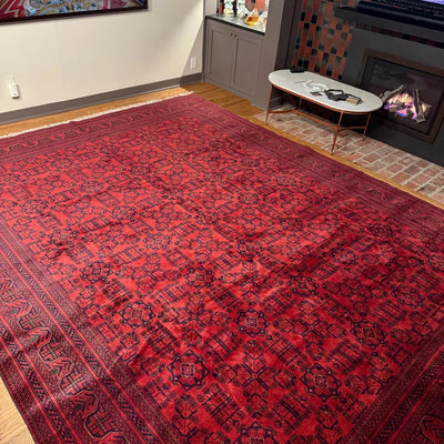 Lyla Shujaei review image 4