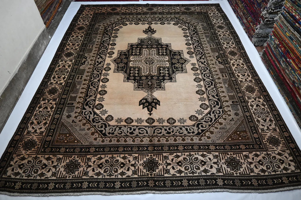Gravion 9’5” × 11’11”